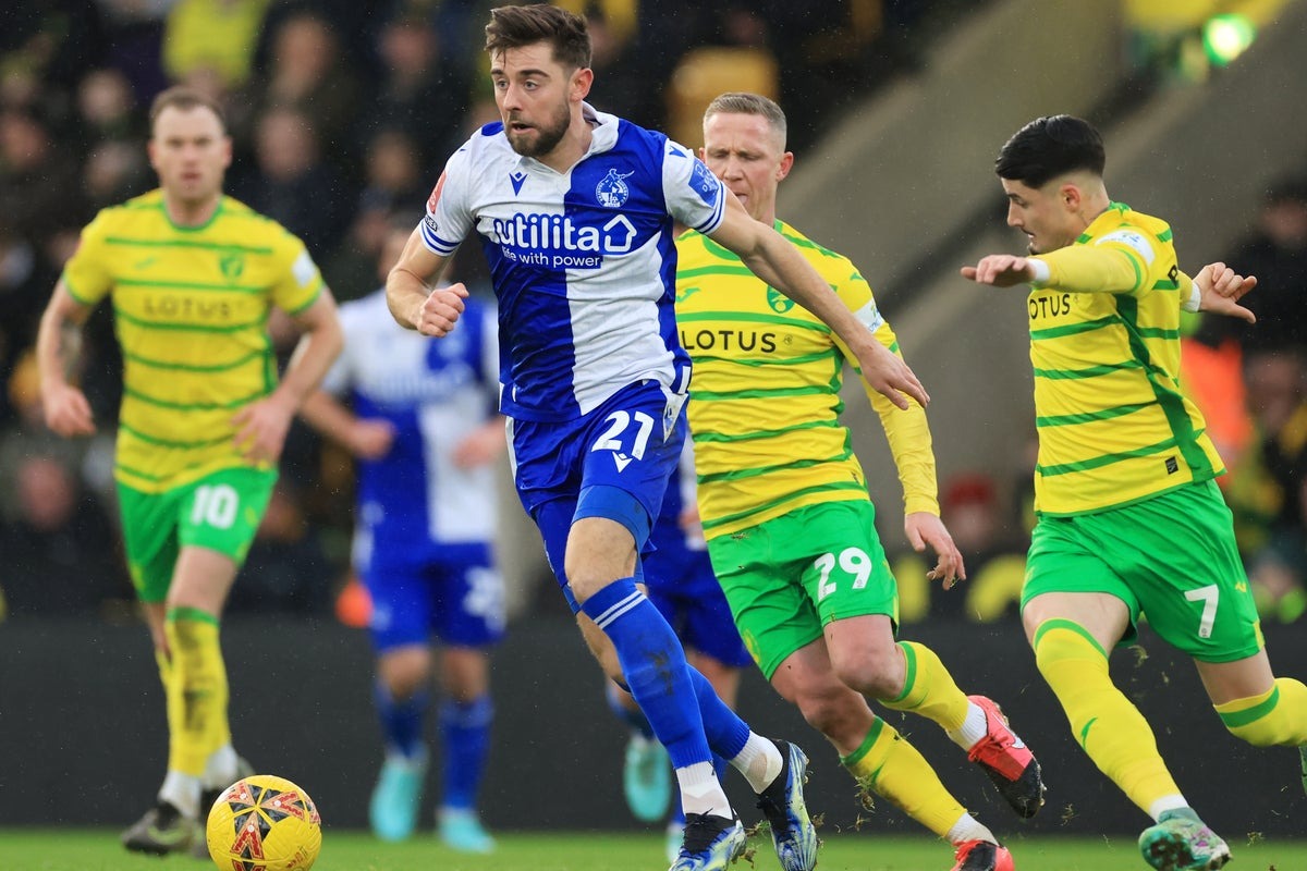 Nhận định soi kèo Bristol vs Norwich lúc 03h00 ngày 15/3/2025 nhan-dinh-soi-keo-bristol-vs-norwich-luc-03h00-ngay-15-3-2025-1